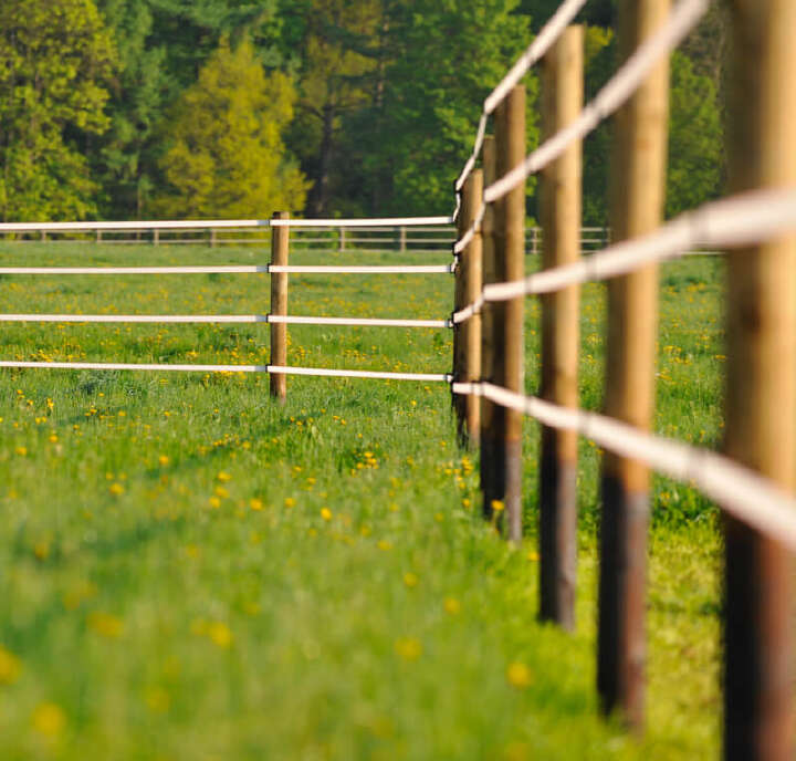 teaser landwirtschaft weide zaun weidezaunrechner